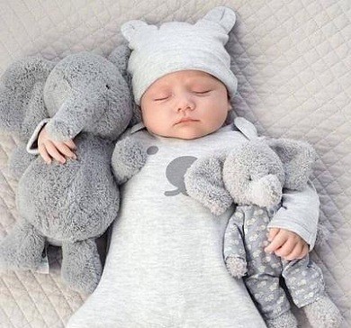 دانلود آهنگ گنجشک لالا گنجشک لالا