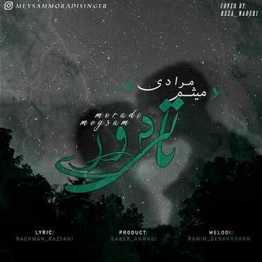 دانلود آهنگ جدید میثم مرادی تالی دوری میثم مرادی تالی دوری
