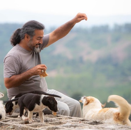 دانلود آهنگ گفتم ببینمت گفتم ببینمت شاید که از سرم دیوانگی رود پرواز همای Mp3 دانلود آهنگ گفتم ببینمت گفتم ببینمت شاید که از سرم دیوانگی رود پرواز همای Mp3